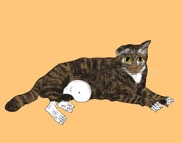 Custom BizarreBeasts Pet PFP