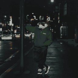 Higher Standards: Green Logo Hoodie