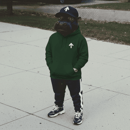 Higher Standards: Green Arrow Hoodie