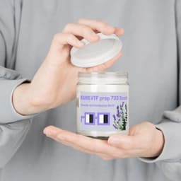 NOUNS.WTF prop 733 Scent